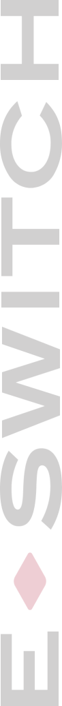 E Switch Logo