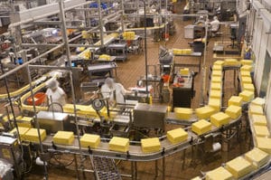 Food Factory Packaging Cheese