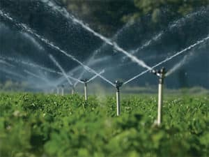 3217 Irrigation System 01 01