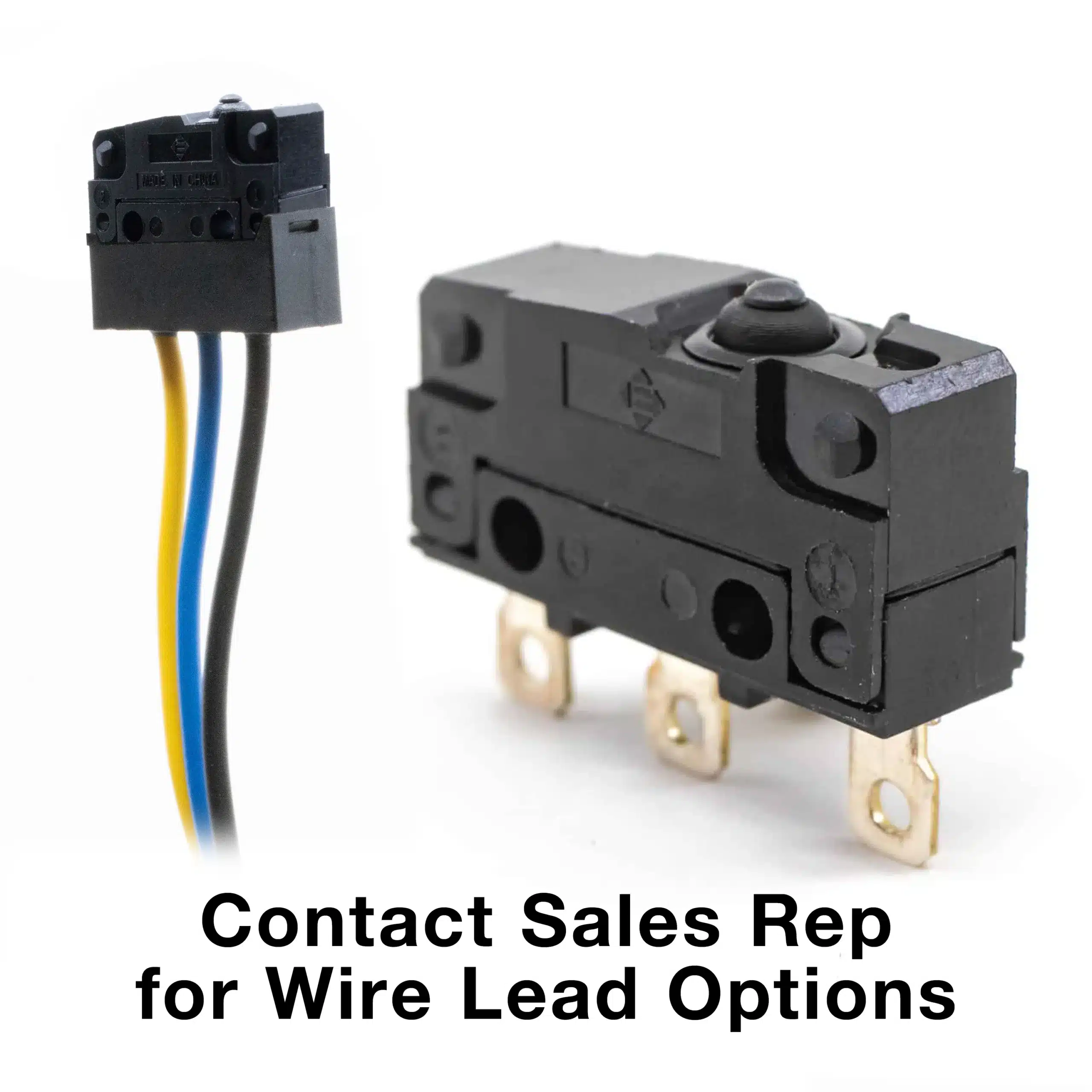 WS2 Series Sealed Snap Action Switch