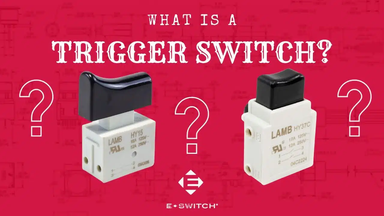 What Is A Trigger Switch
