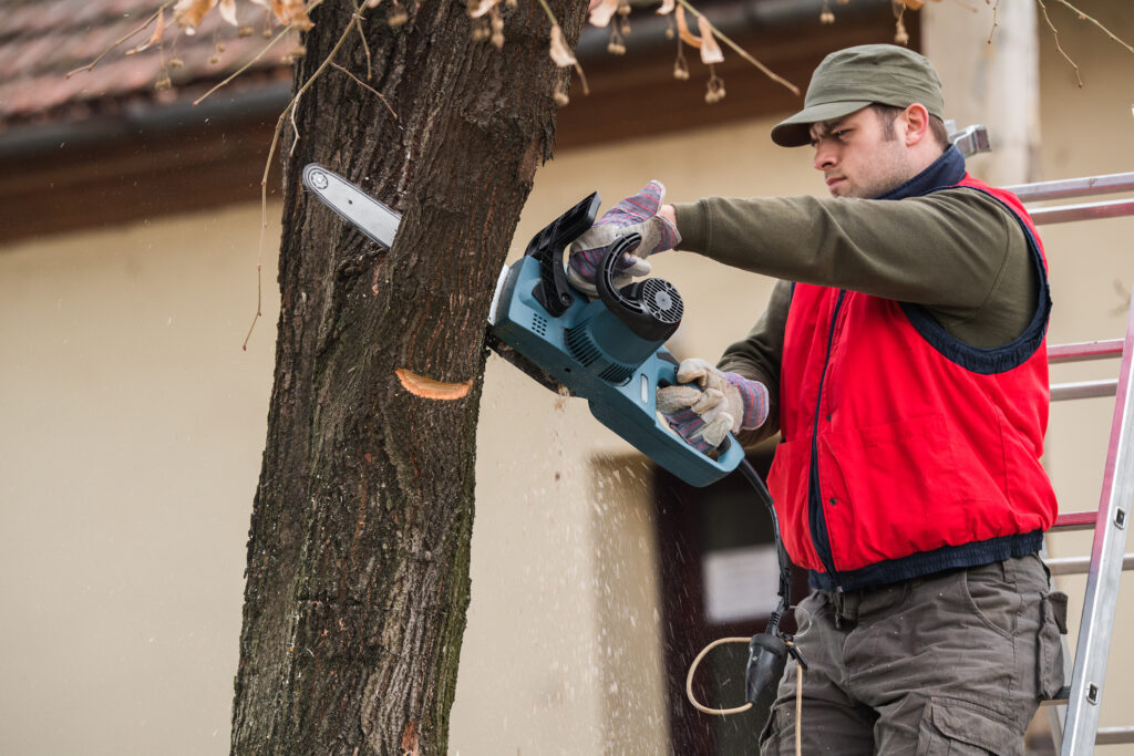 Chainsaw