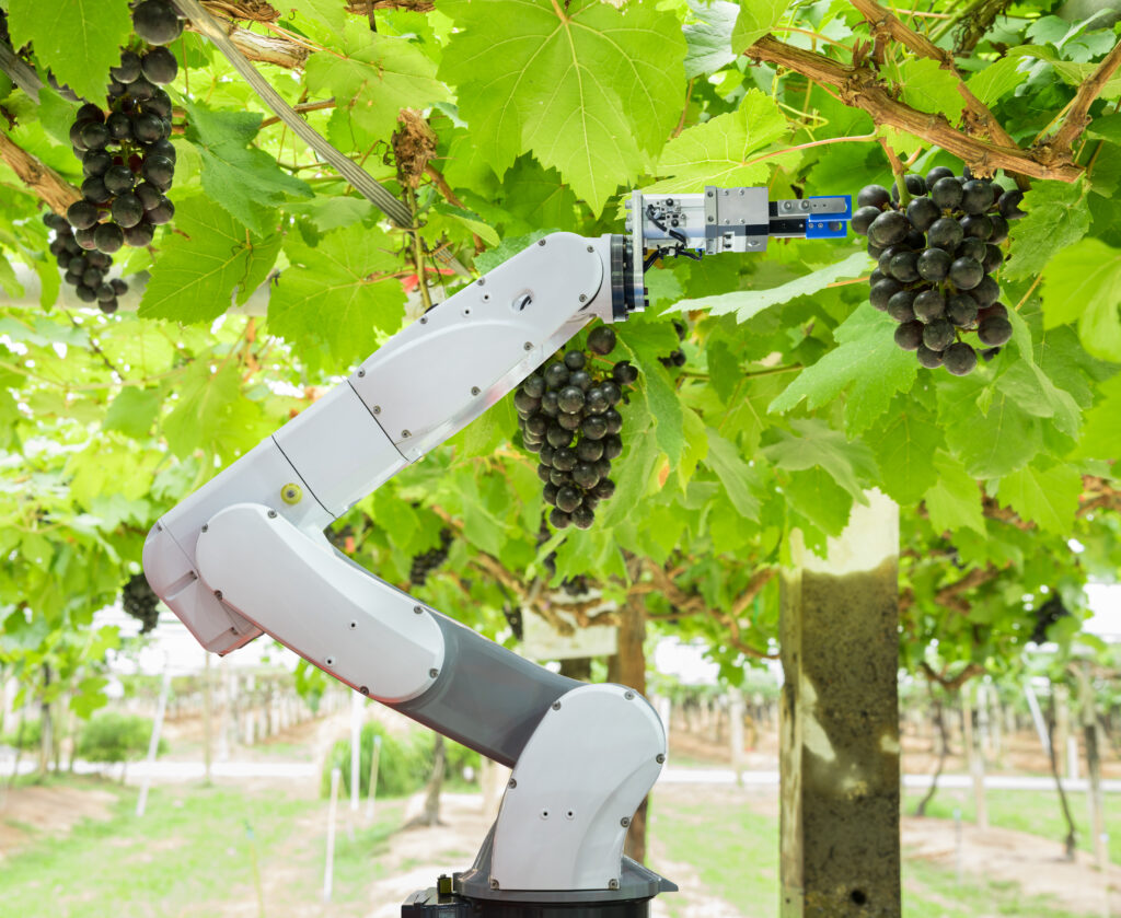 Robotic Harvest