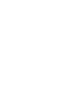 Connector Icon