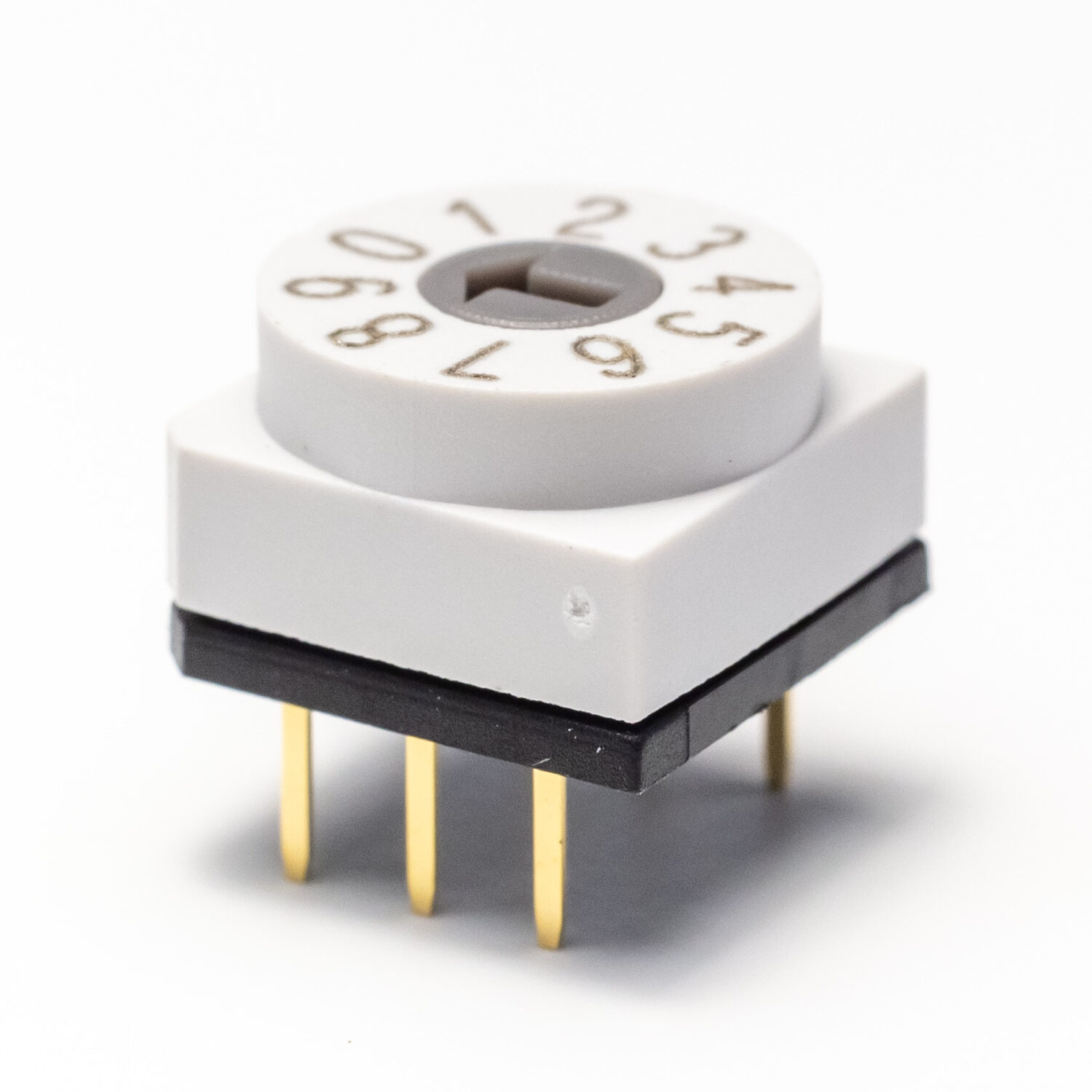 Cyfres RDT Wedi'i Selio Rotari DIP Switch